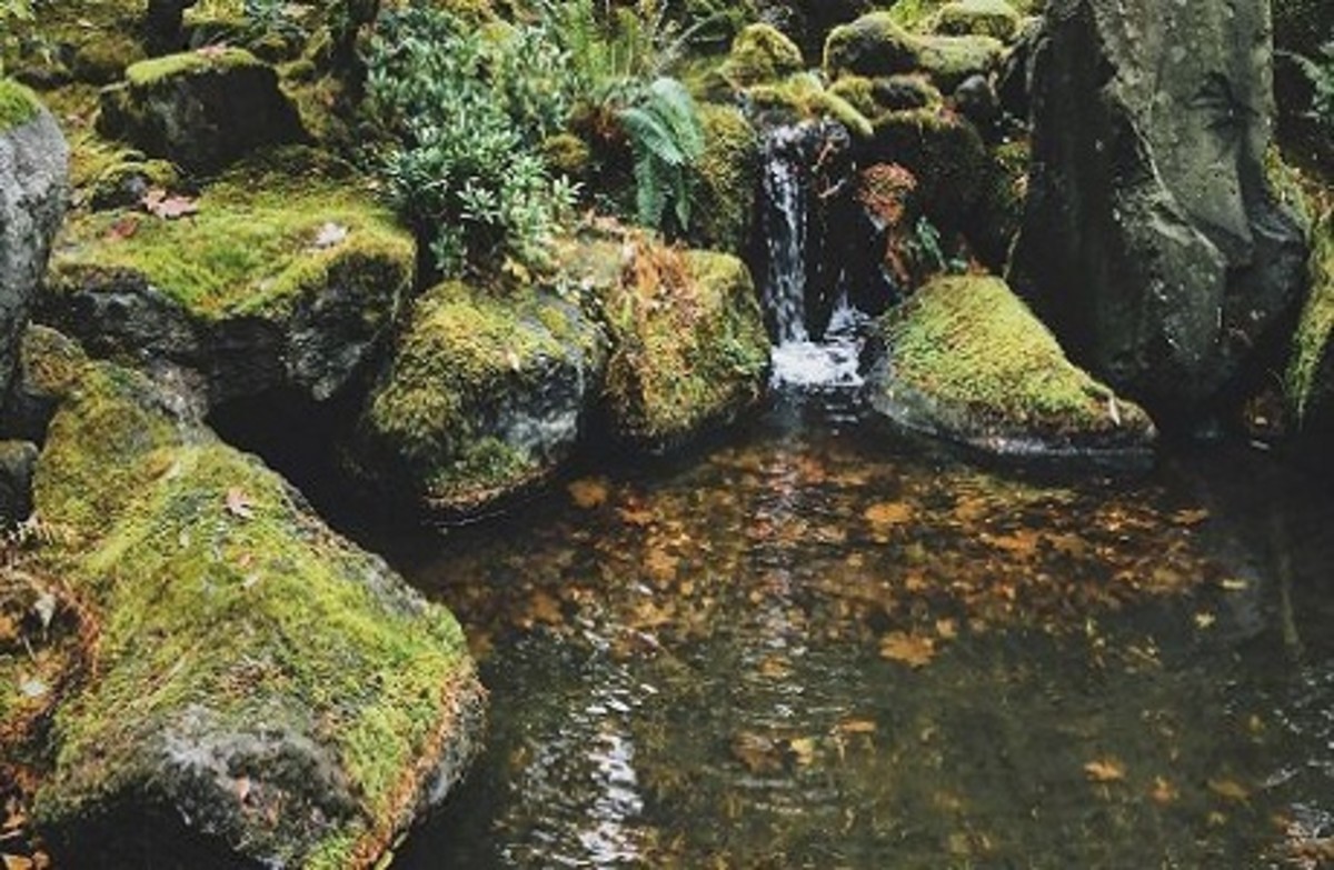 How to Fix a Leaking Waterfall Dengarden