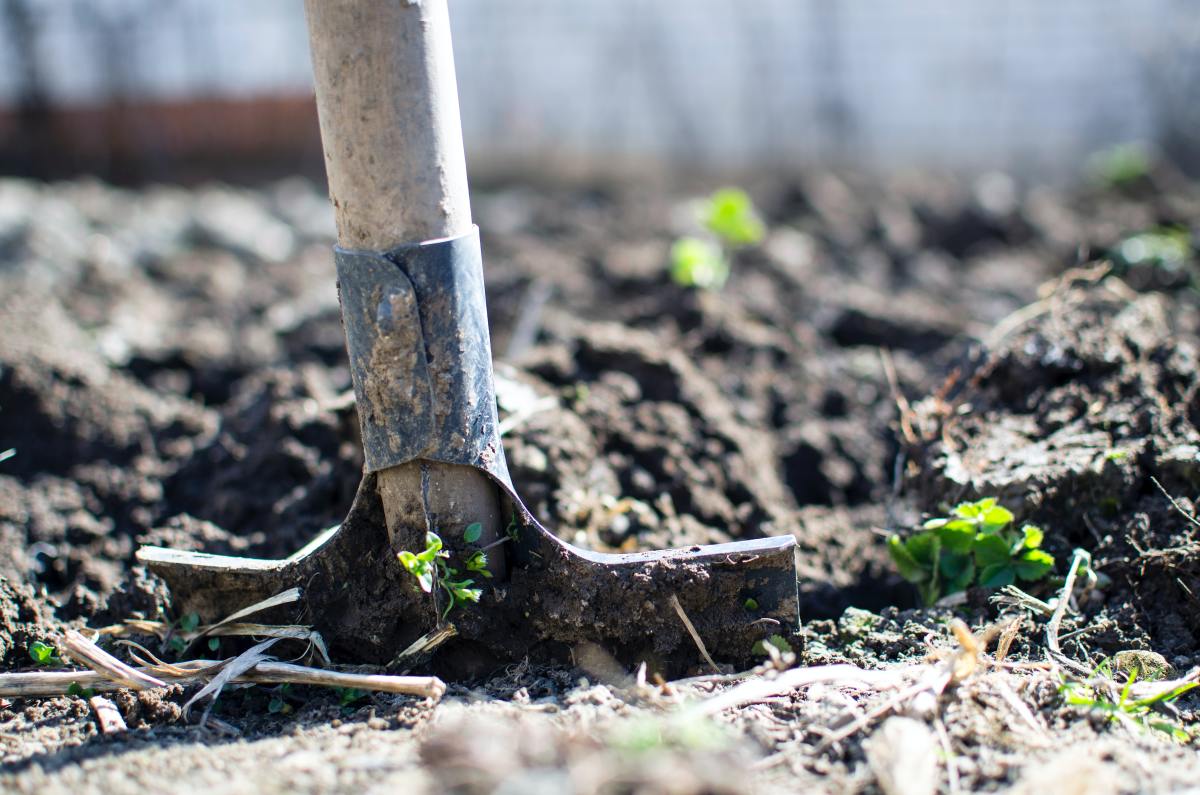 The Importance of Knowing Different Types of Soil