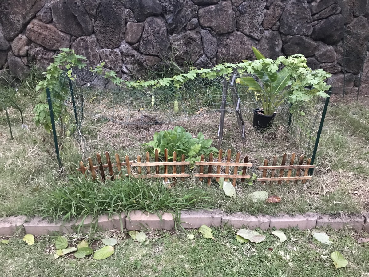 how-to-make-a-fukuoka-style-garden