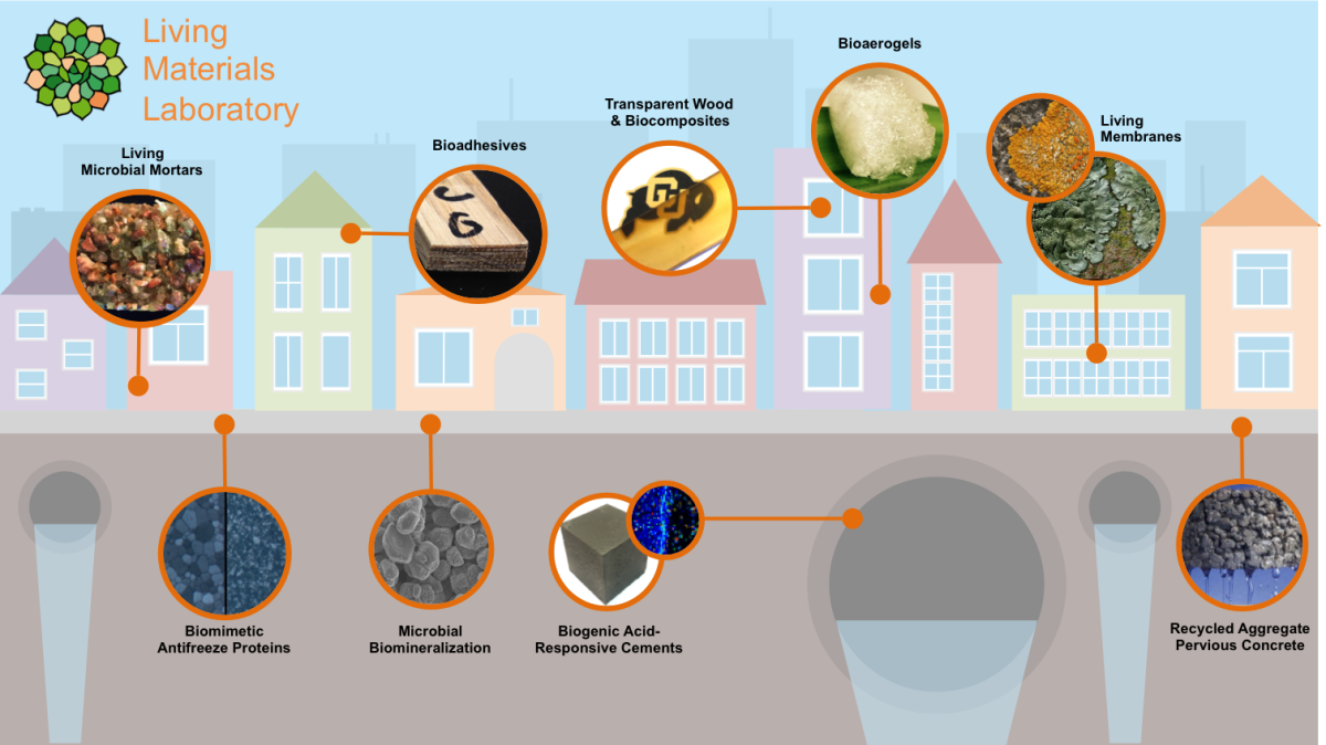 microbes-produce-sustainable-concrete-from-carbon-emissions