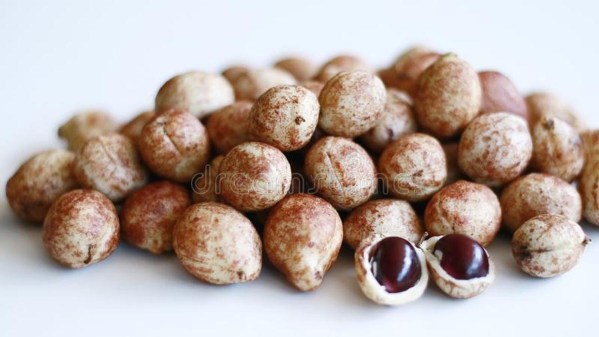 Bambara nuts, or, okpa