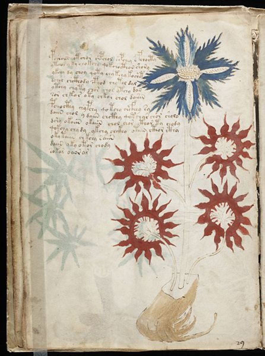 A typical page from the Voynich manuscript