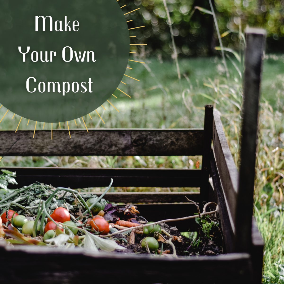 How to Make Your Own Compost and Compost Bin