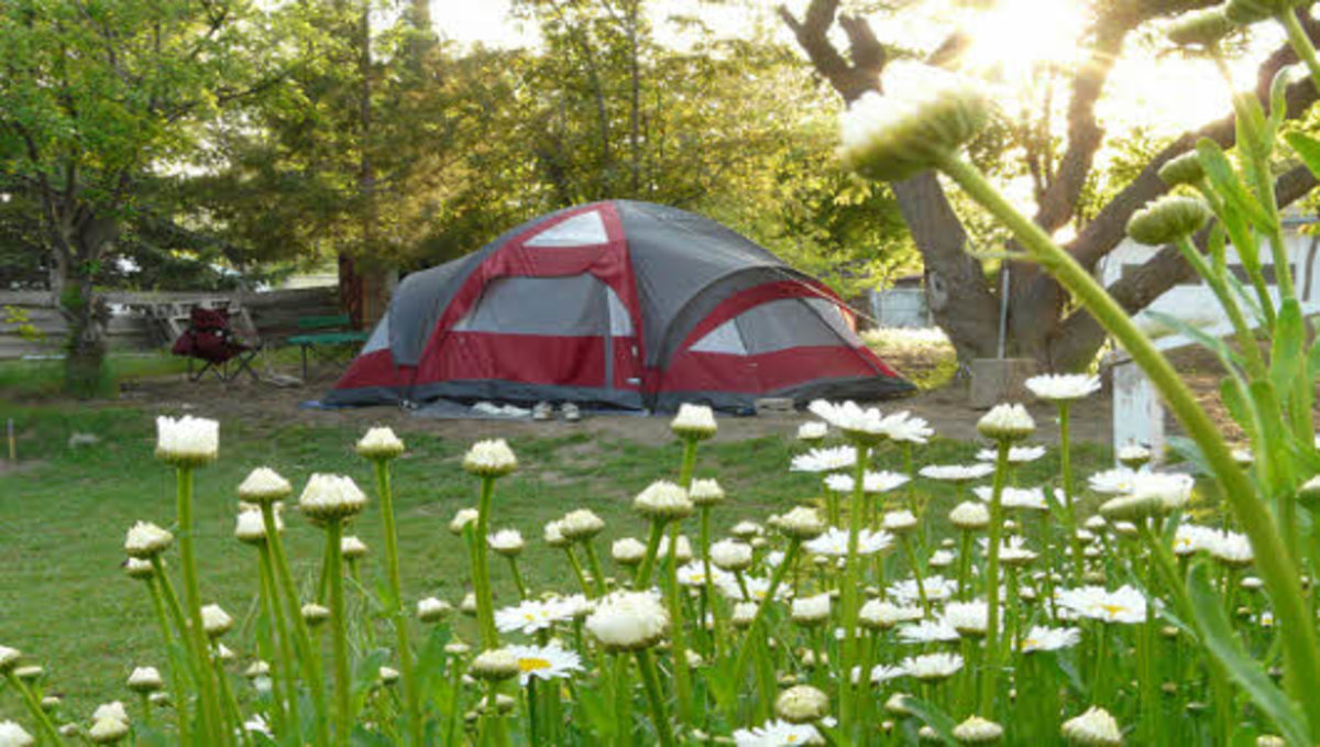 Set up a tent and camp out in your backyard!