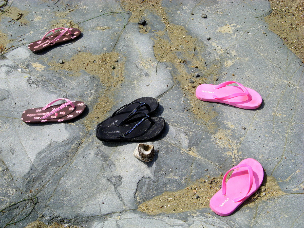 Flip-flops on the rocks--Derek Baird--Wikimedia commons