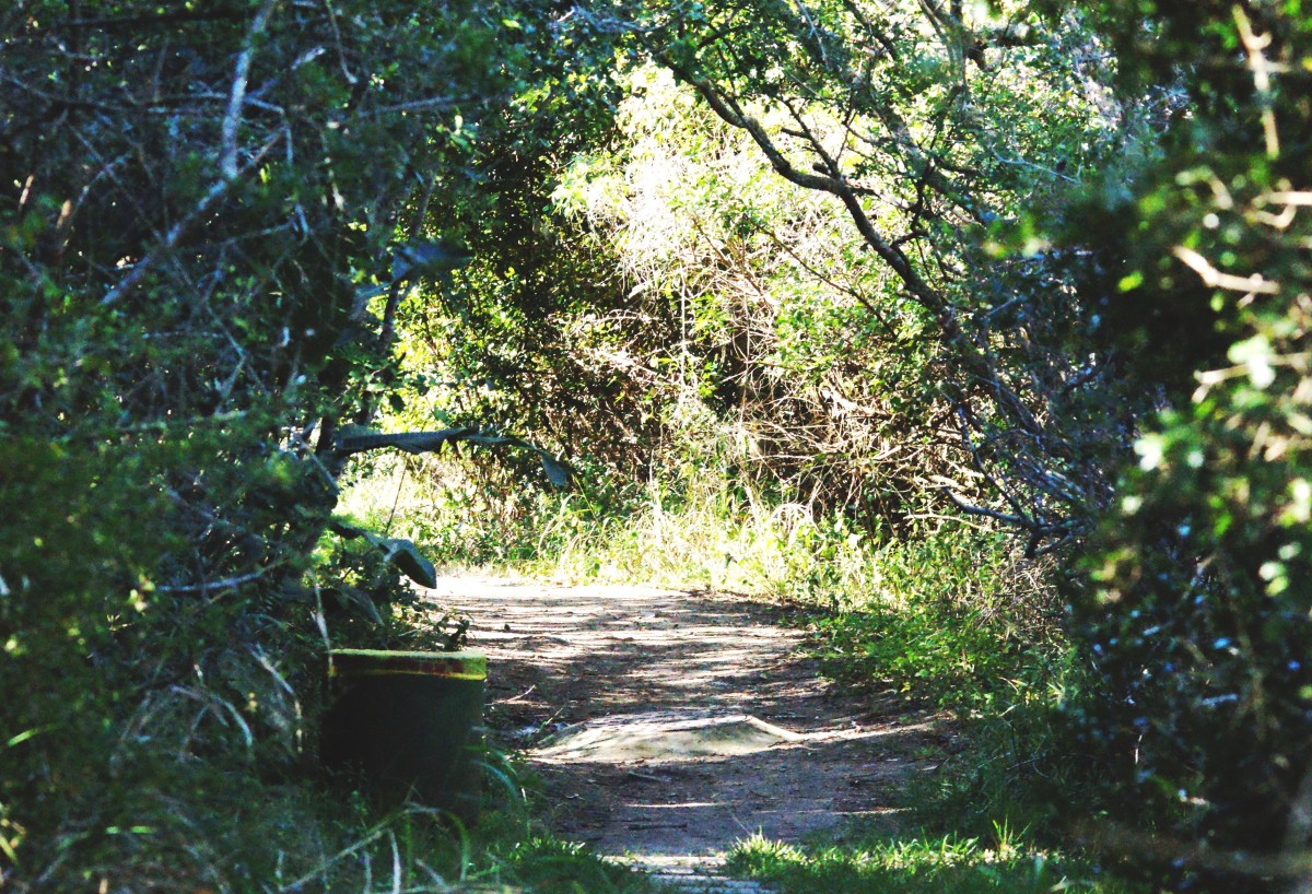Nature On Your Doorstep Nahoon Estuary Nature Reserve Re Visited HubPages