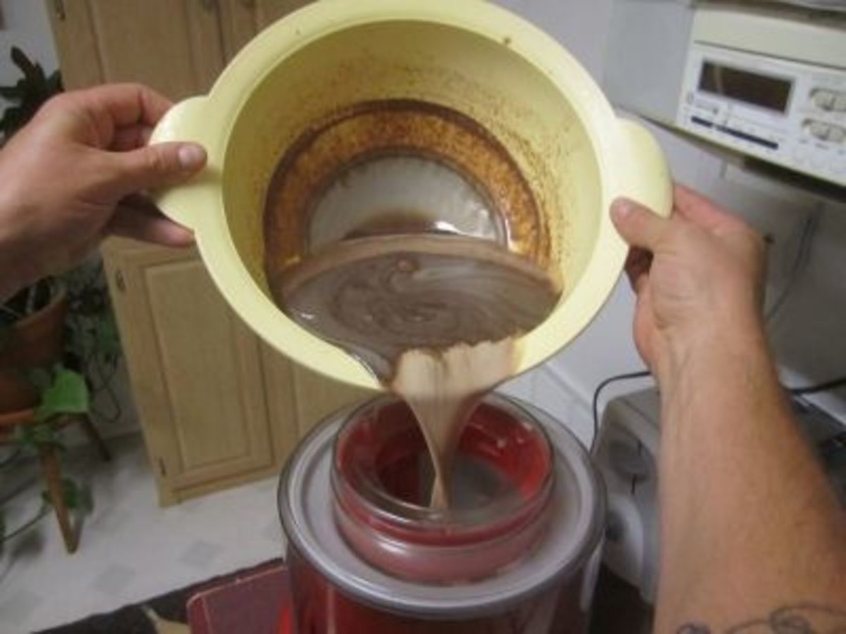 Step 7: Pour the mix into your ice cream maker. (It may develop a little film as ours did.)