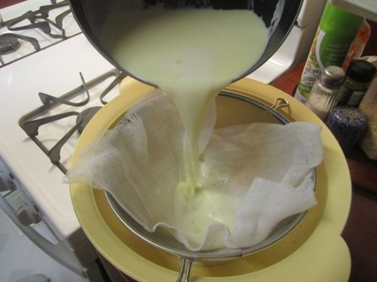 Step 5: We put some cheesecloth in our strainer because it didn't seem fine enough.