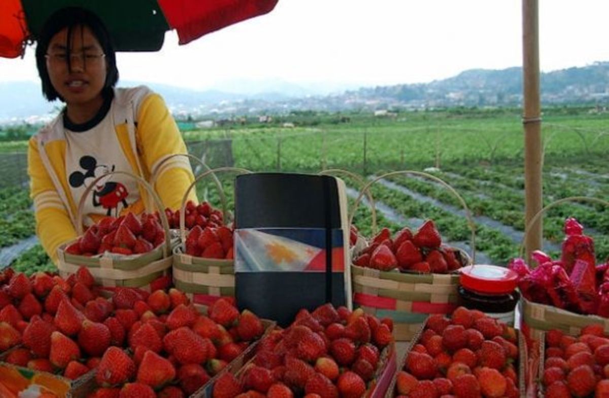 Get strawberries at the farmer's market or a roadside stand