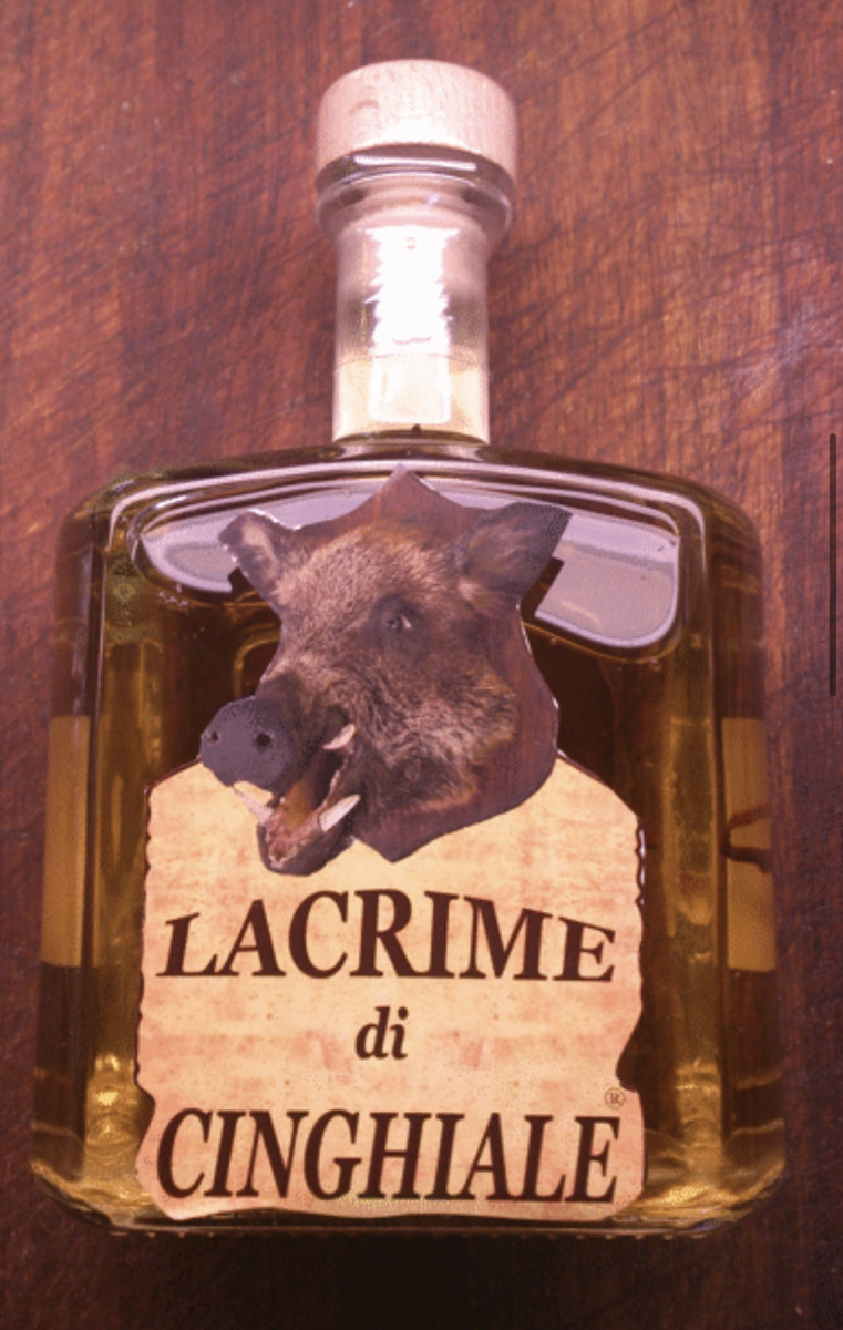 ginepi-the-delicious-italian-liquor-you-have-never-heard-of