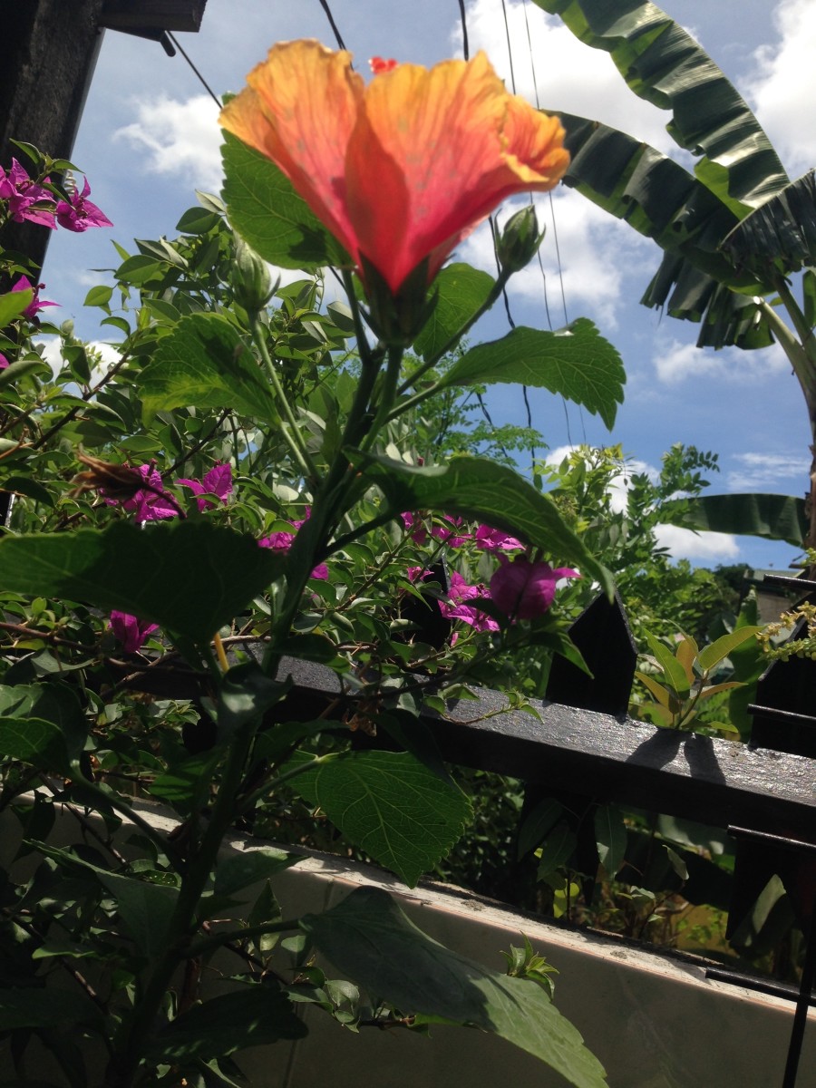 Most Inspiring People