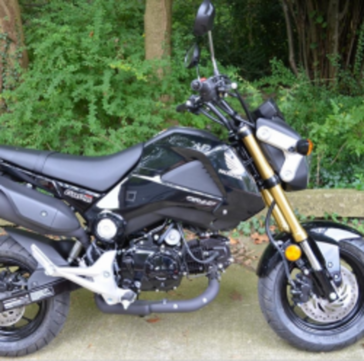 2014 Honda Grom Motorcycle Review