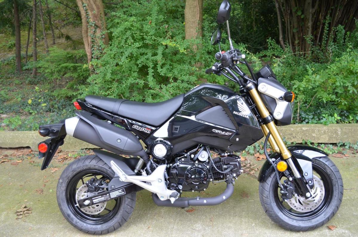 my-review-of-the-honda-grom-motorcycle