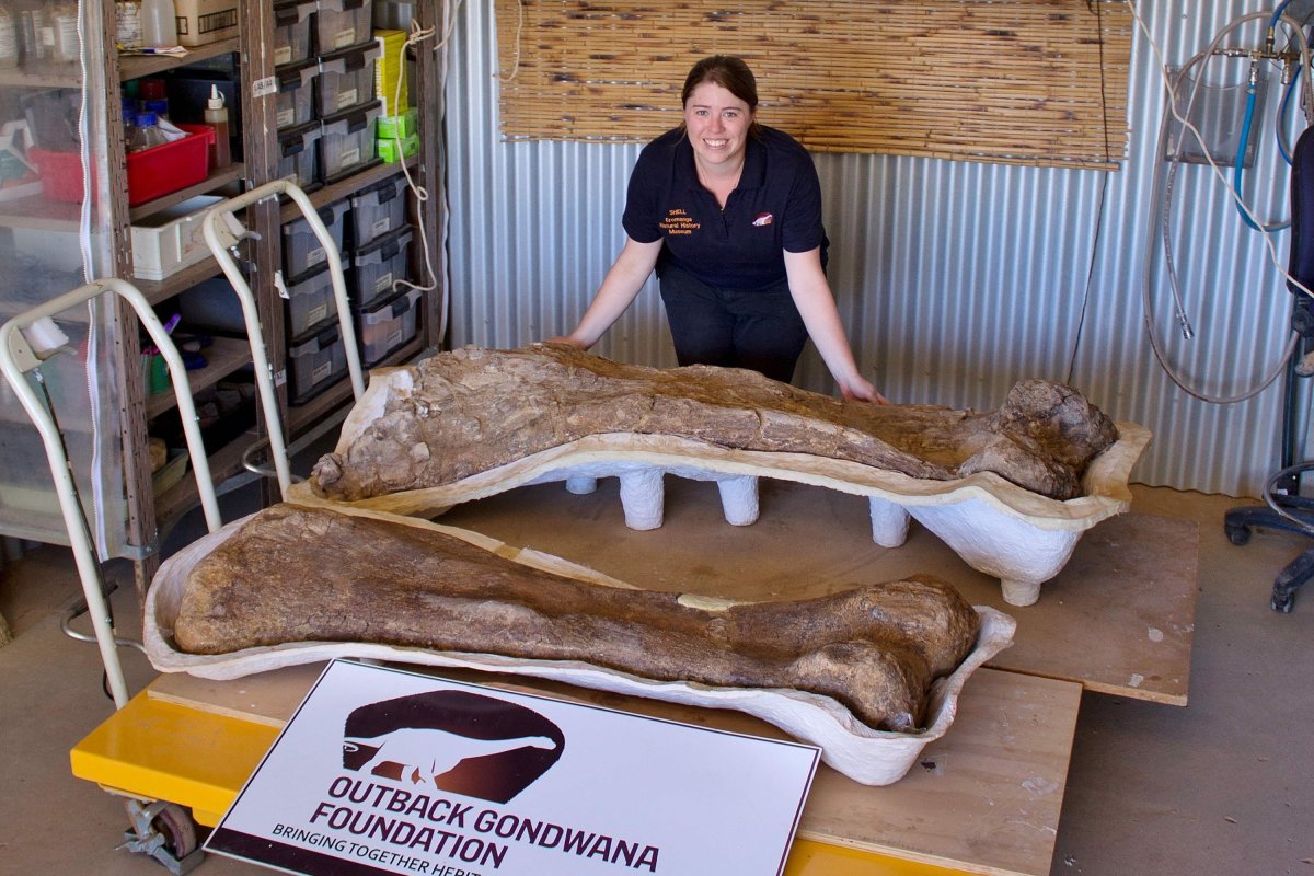 new-dinosaur-species-found-in-australia-meet-cooper-the-biggest-dinosaur-to-wander-the-landmass