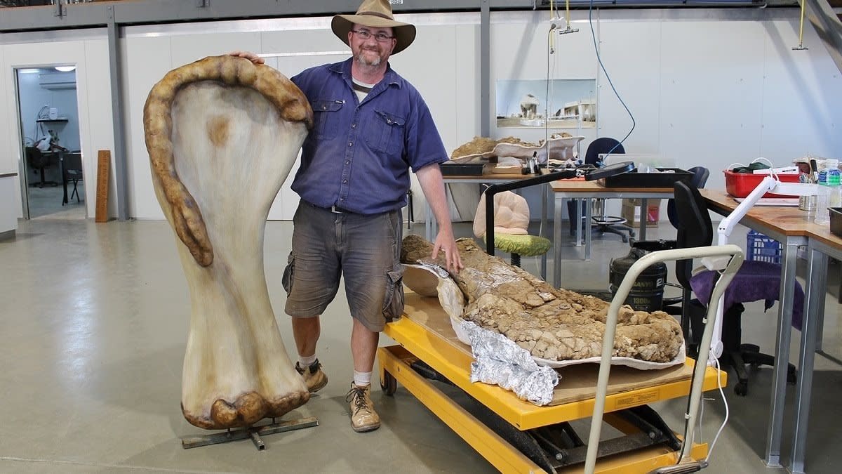 new-dinosaur-species-found-in-australia-meet-cooper-the-biggest-dinosaur-to-wander-the-landmass