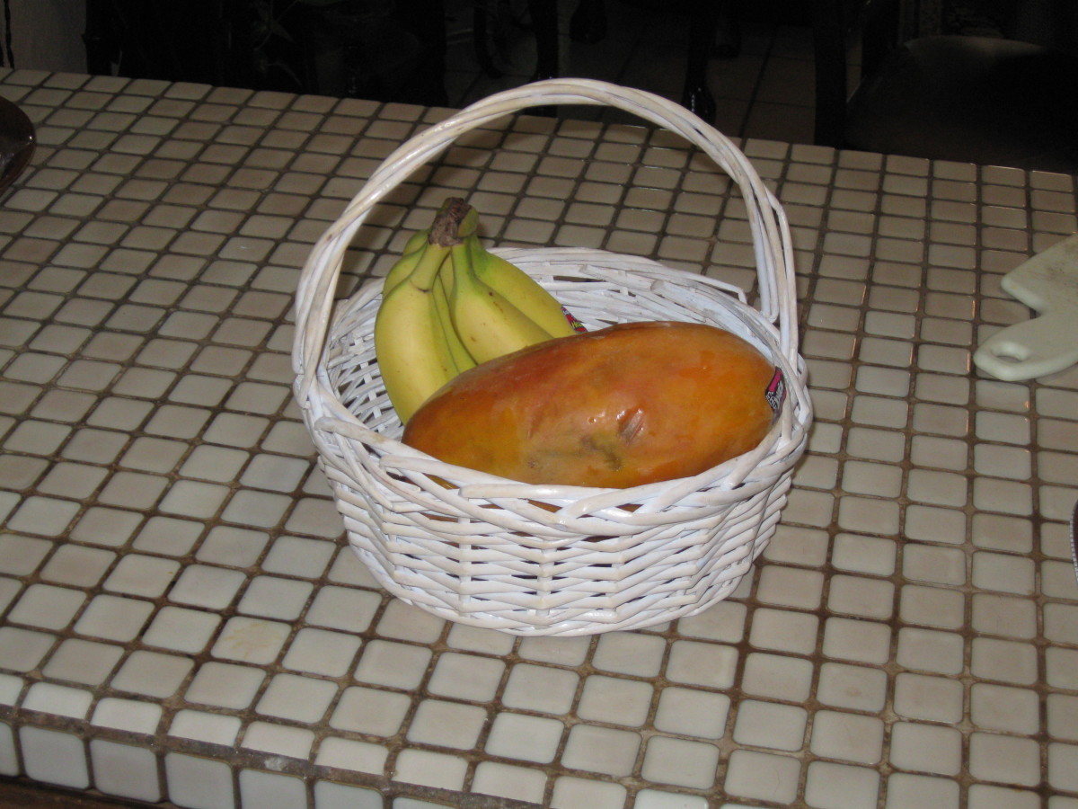 papaya-for-breakfast