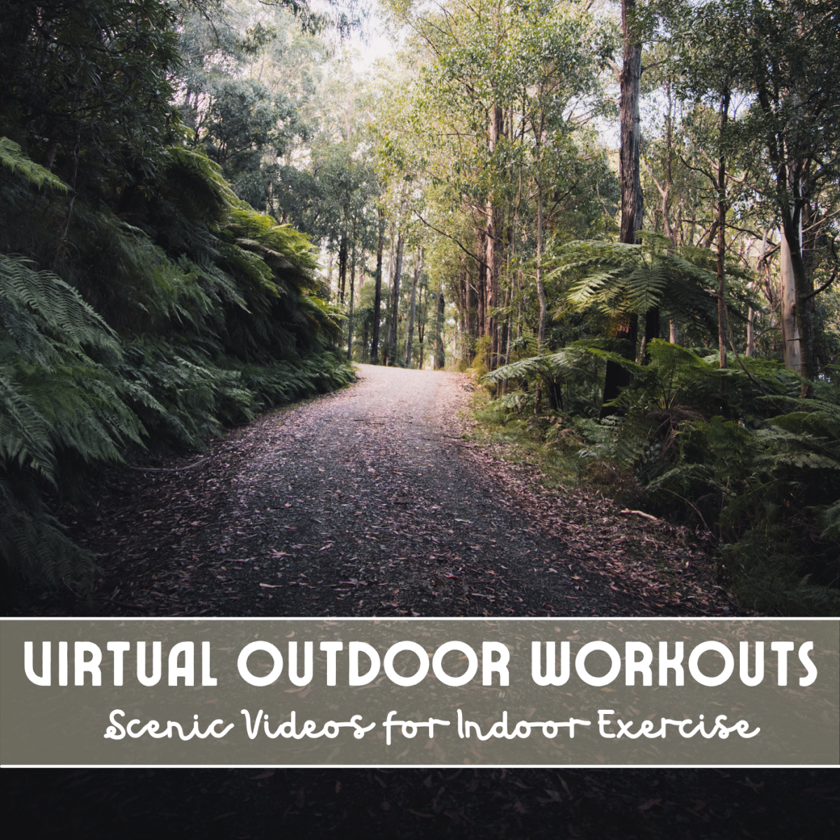 Watch scenic exercise videos for a virtual outdoor workout.