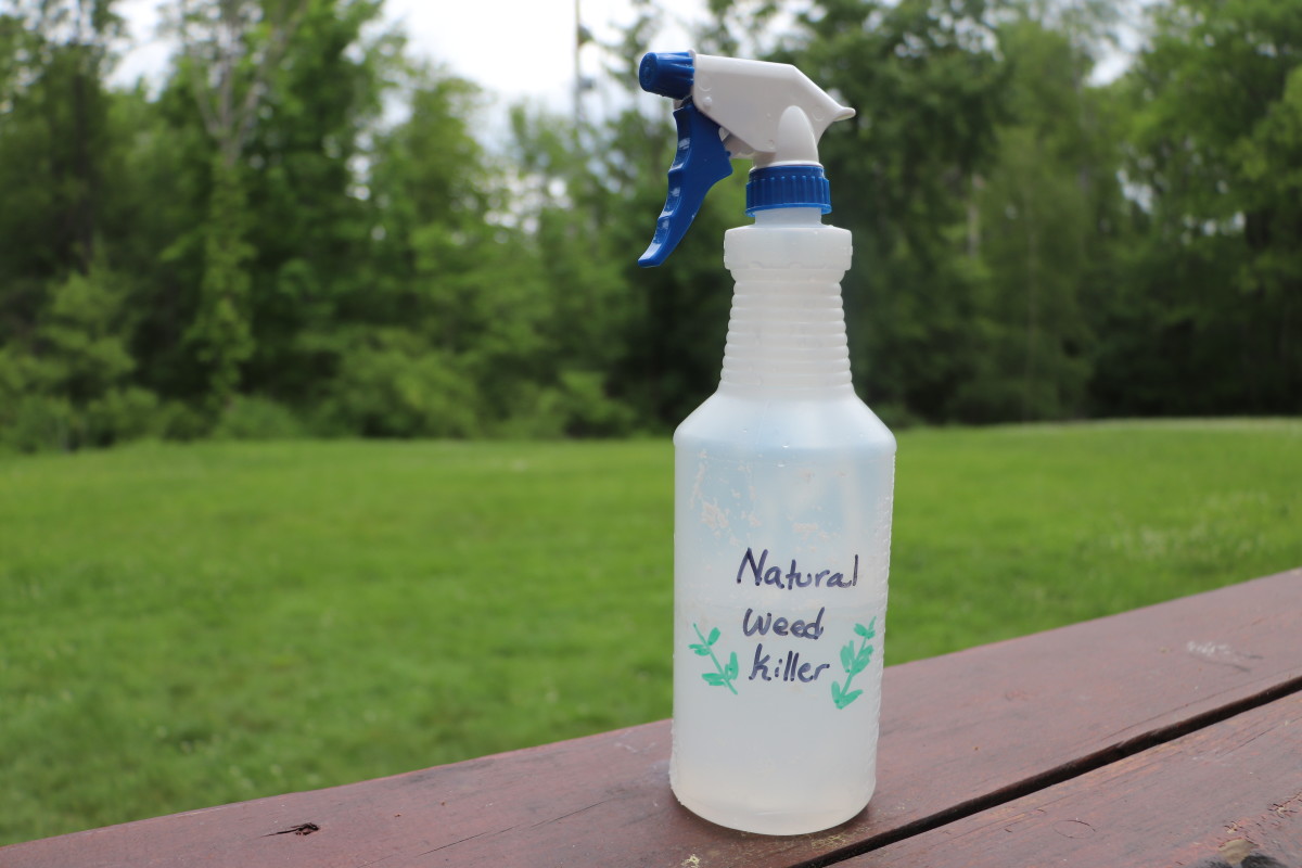 How to Get Rid of Weeds Naturally With Homemade Weed Killer