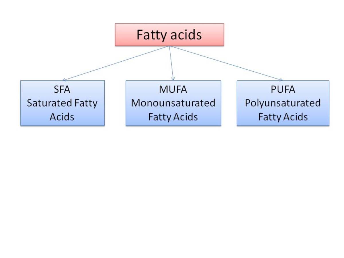 Omega-3 fatty acids keep the body Healthy