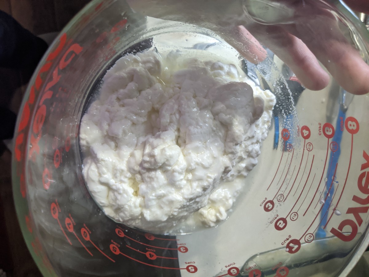 collect curd in microwavable bowl.