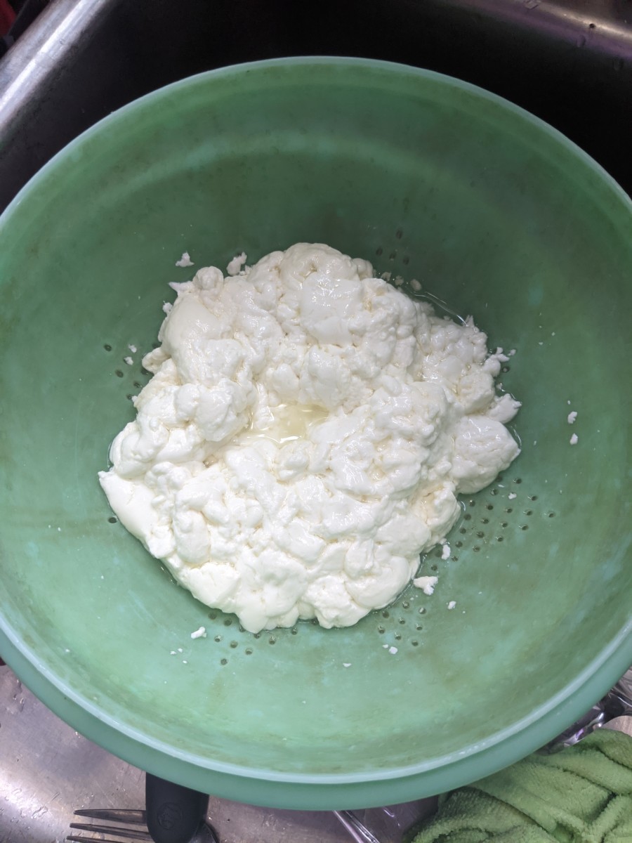 mozzarella-cheese-making-from-scratch