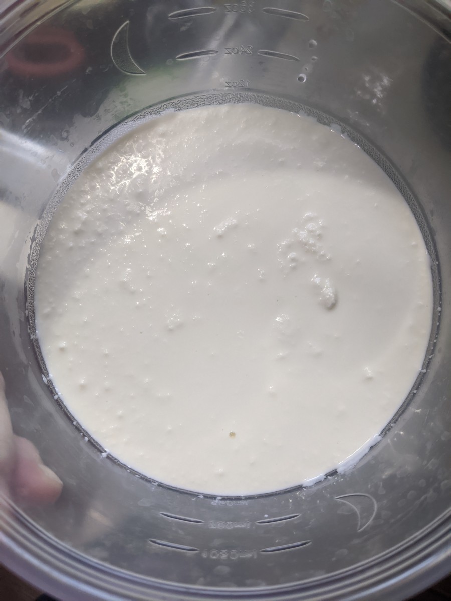 Mozzarella Cheese Making from Scratch