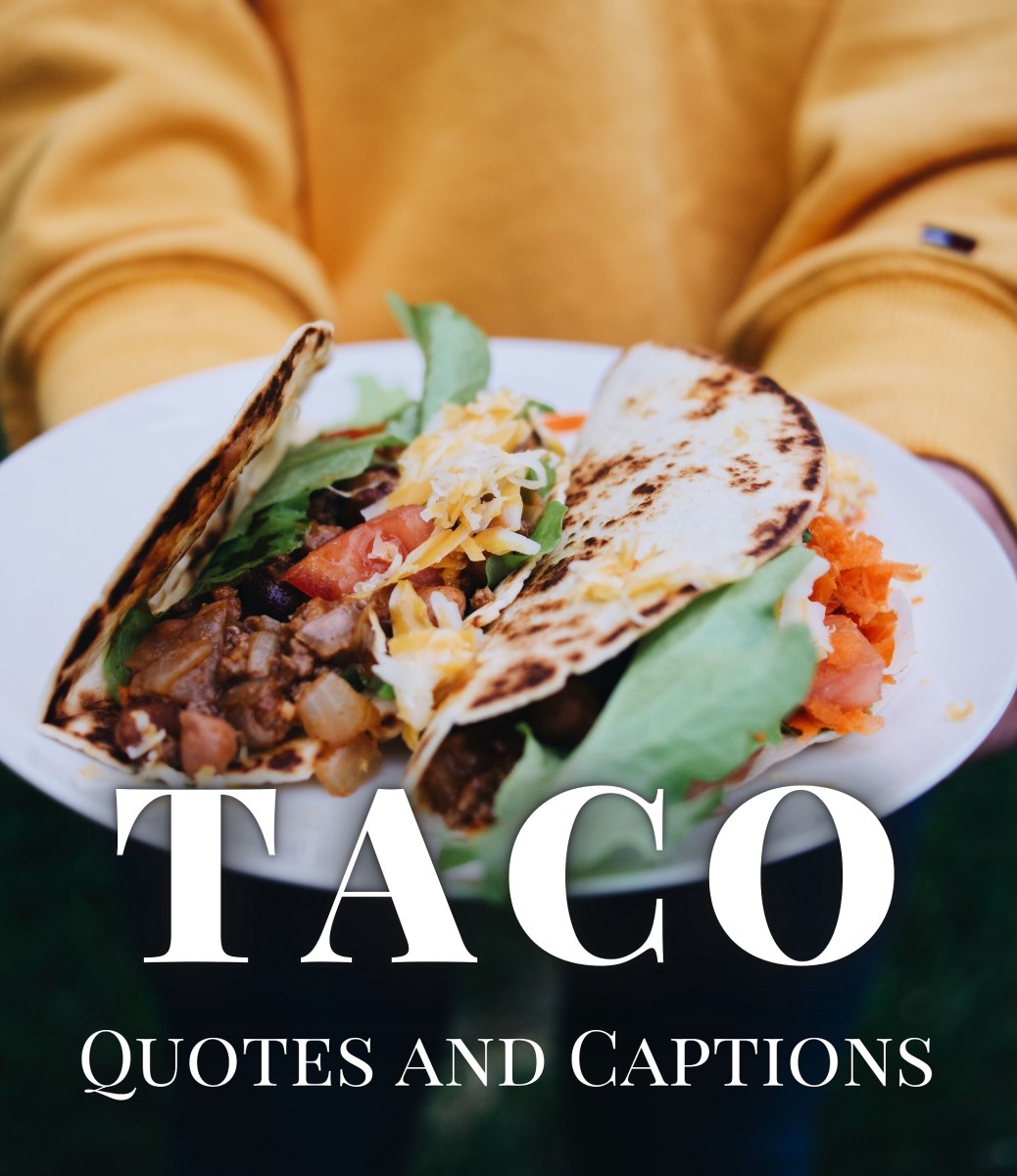 150+ Taco Quotes and Caption Ideas for Instagram