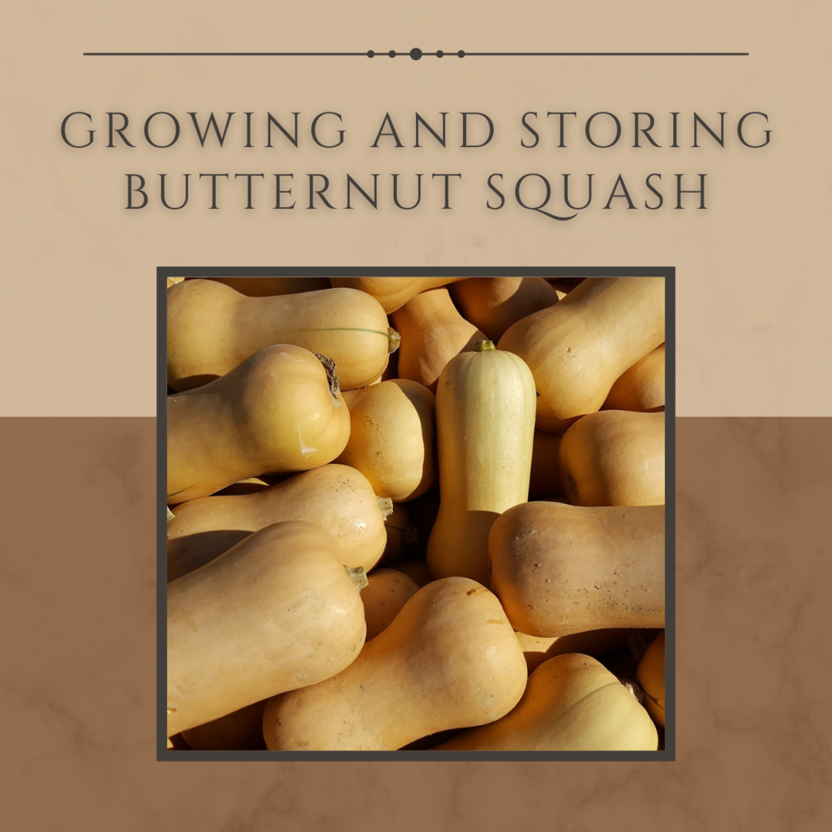This article will provide all the information you'll need to grow and store your own squash.