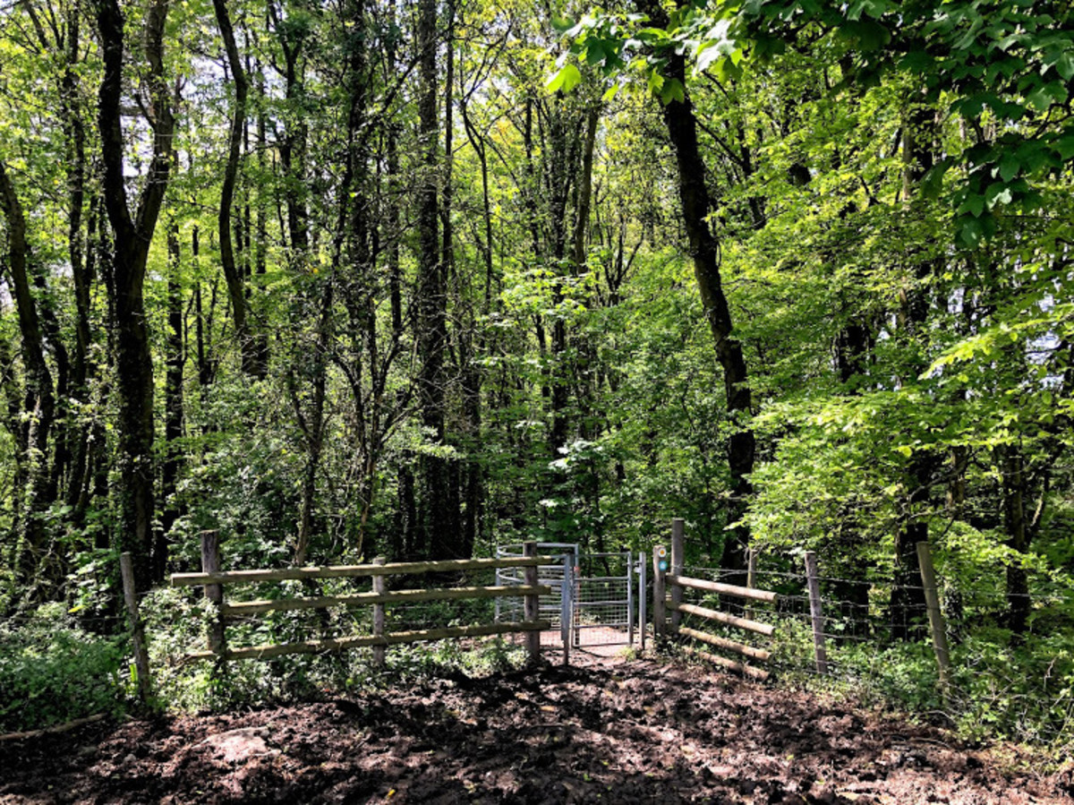 Hiking the Wilderness of Ogmore on Vale Trail 1 Walking in the Vale of
