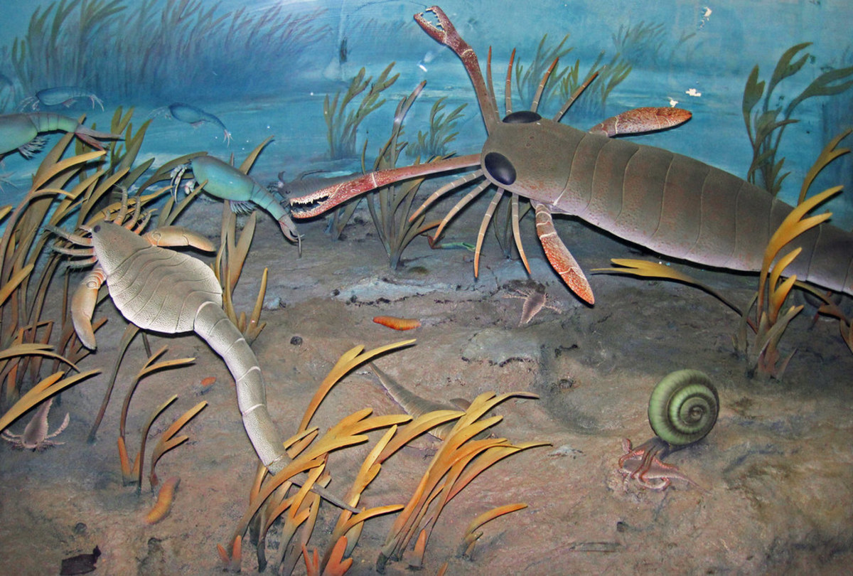 Sea scorpions hunting along the ocean floor
