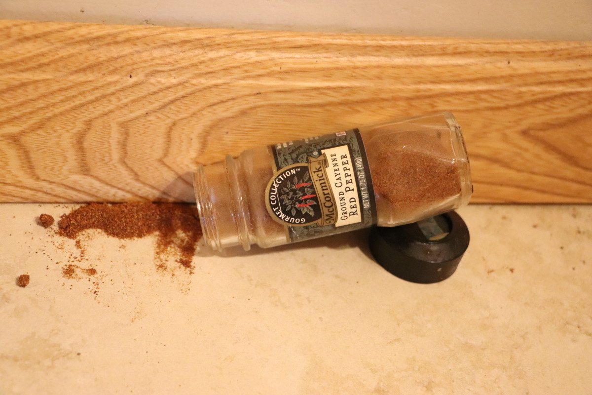 How to Get Rid of Ants Without Toxic Chemicals Dengarden