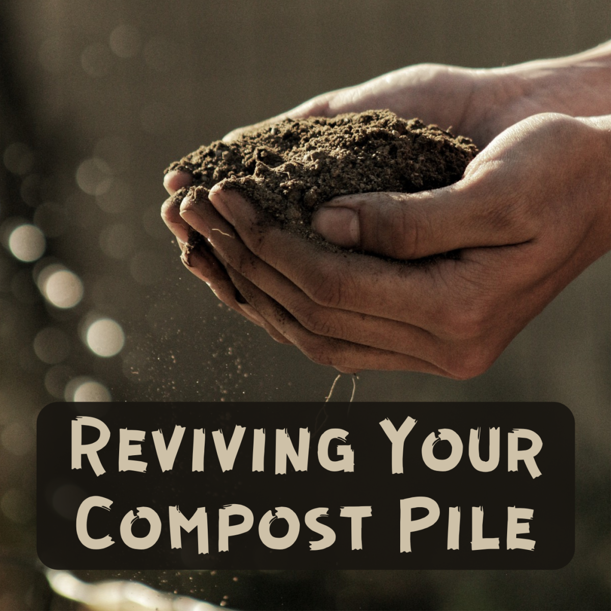 Follow this process to speed up decomposition in a dormant compost pile.