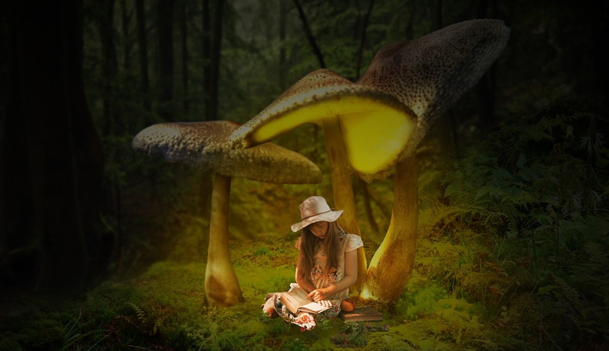 This Is Why Some Mushrooms Are Hallucinogenic