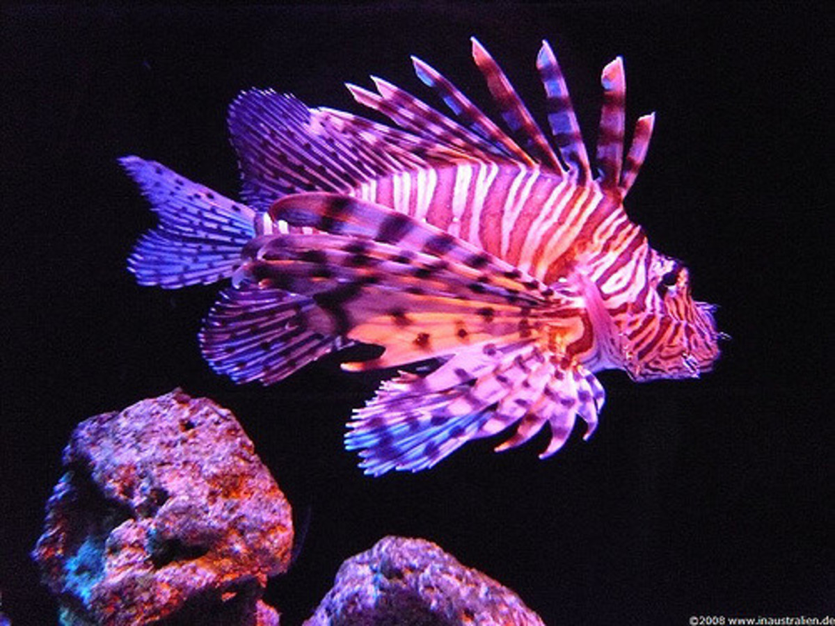 Perth Aquarium