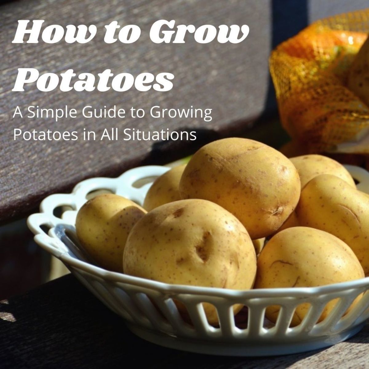 Potatoes are one of the easiest and most abundant foods you can grow. 