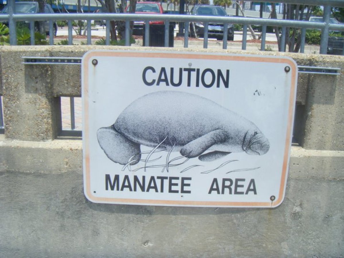 Manatee caution sign.
