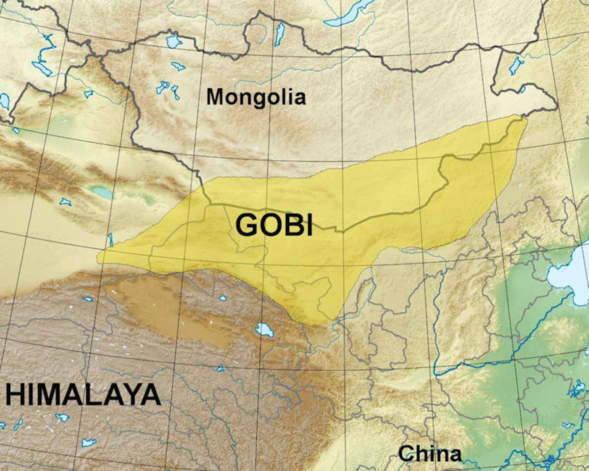 Помогите гоби и южную добыть рыбу. Пустыня Гоби на карте Монголии. Джунгарская Гоби пустыня на карте. Пустыня Гоби на карте Евразии.
