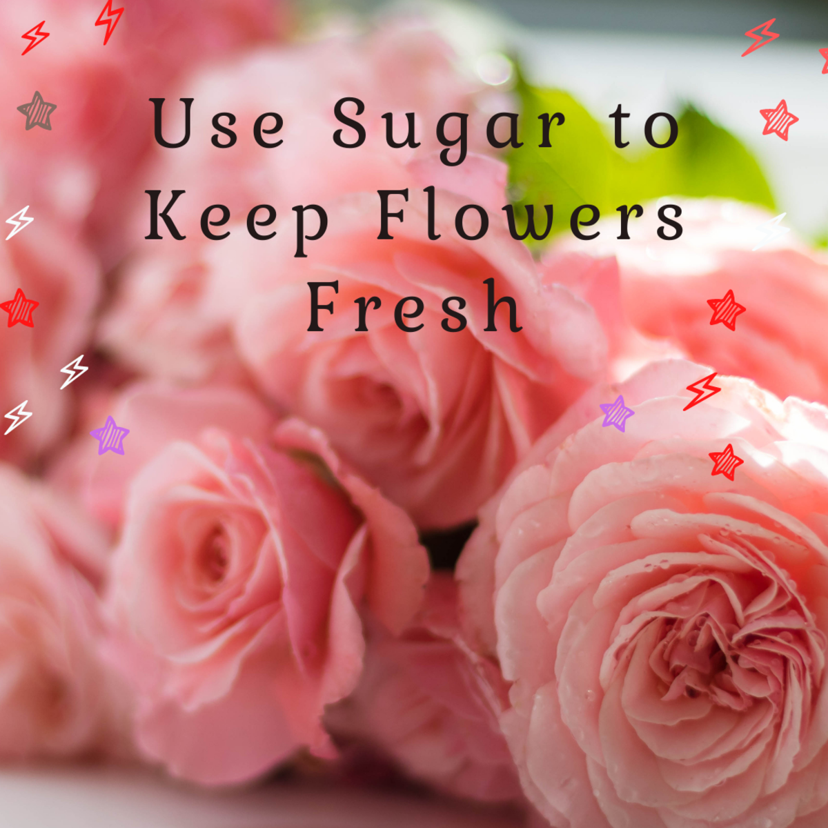 9 Cool Things You Can Do with Sugar HubPages