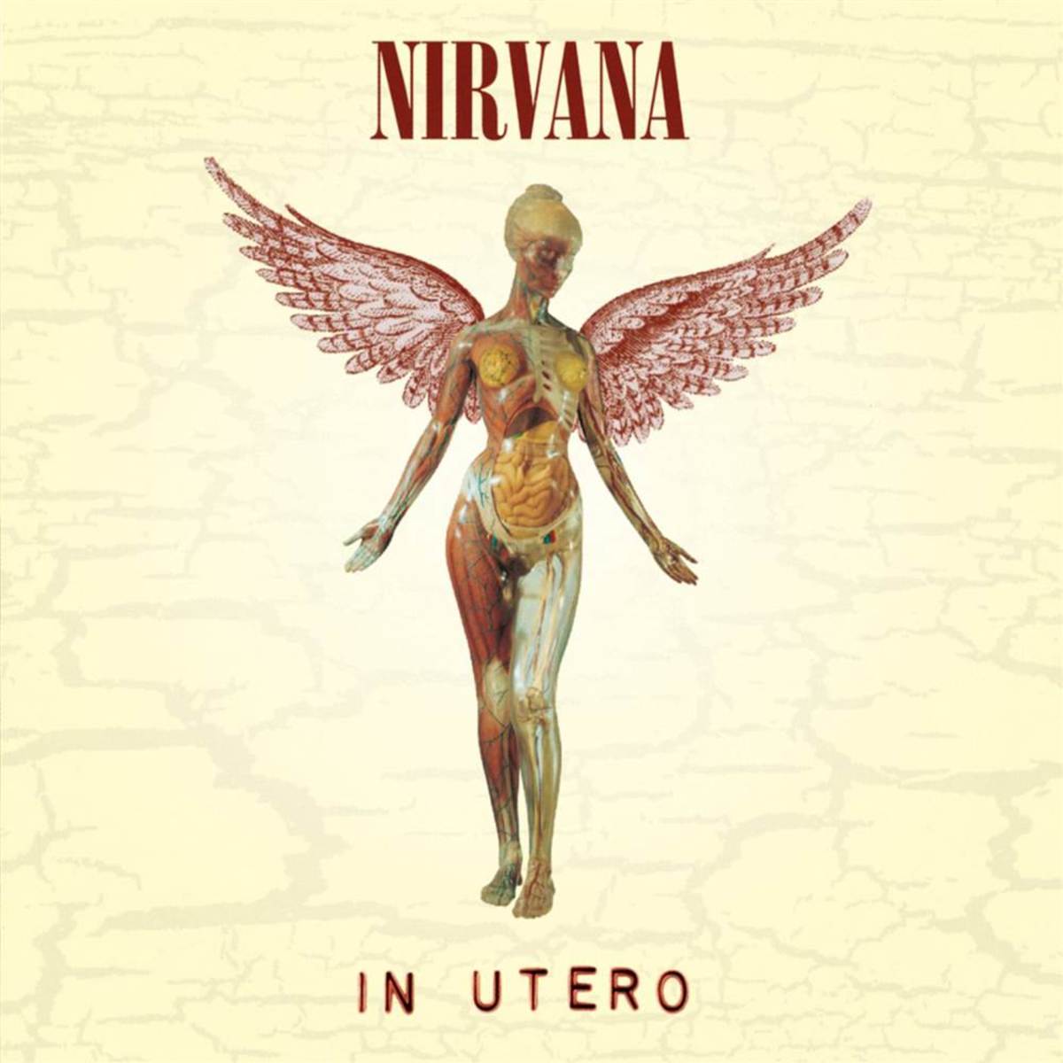 This cover of the album In Utero continues the tradition of strange album covers by the band. The music is better though.