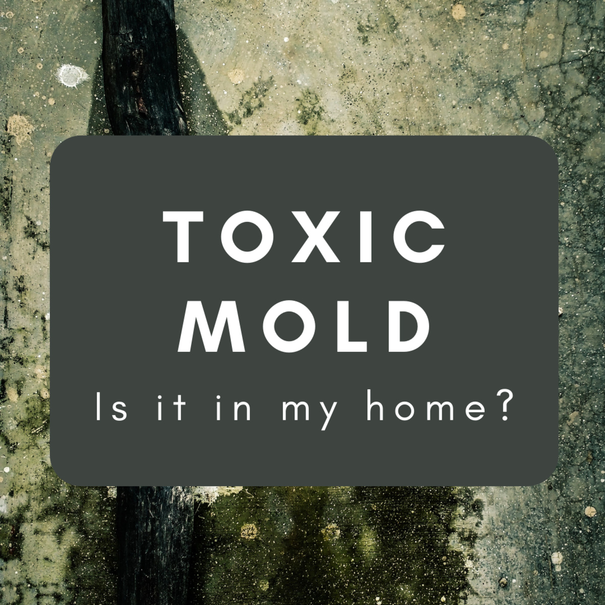 How to detect toxic mold . . . and what to do about it.