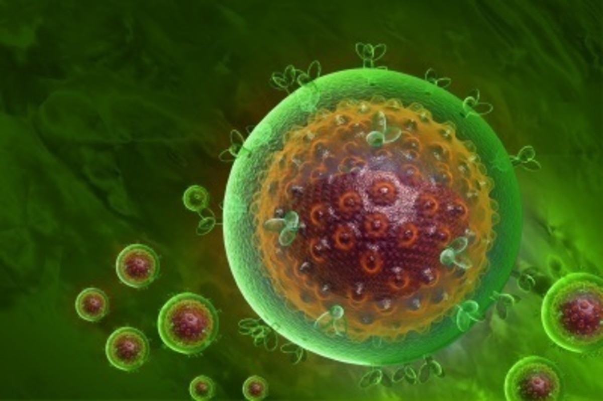 HIV Virus Cell