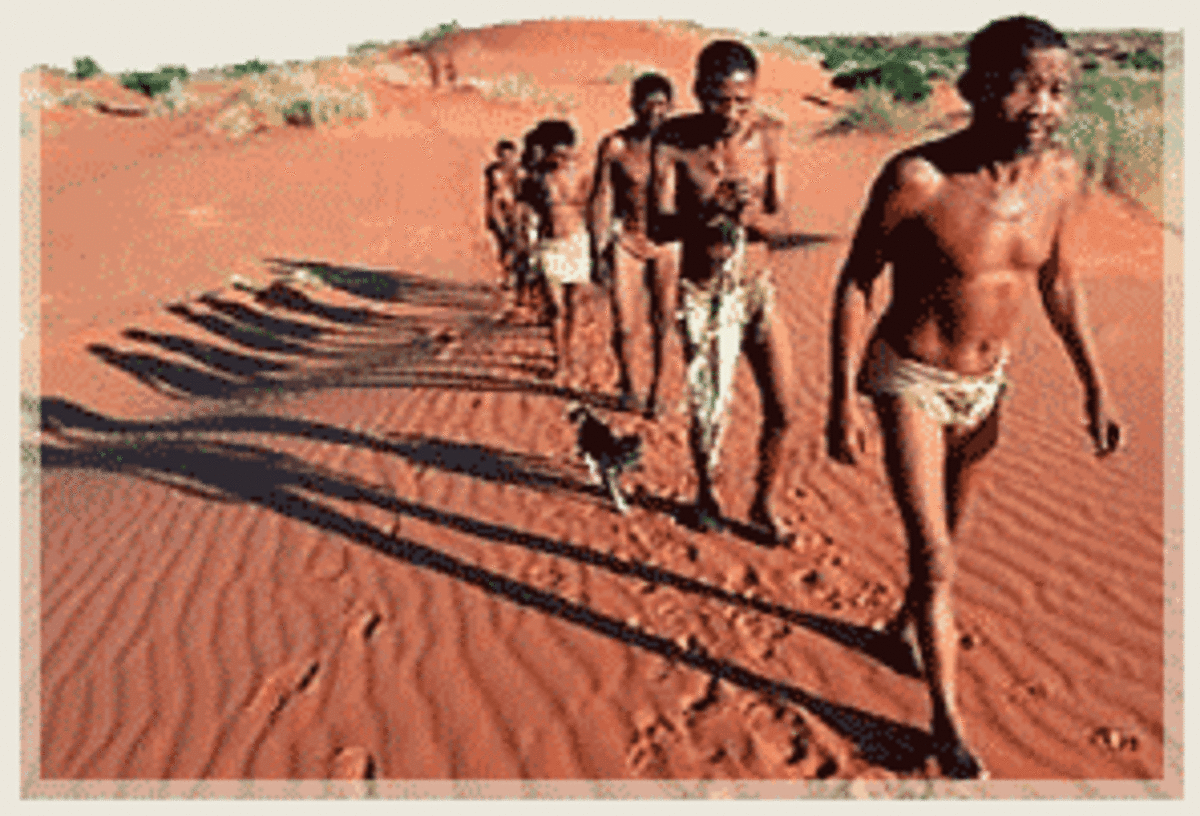 The San Bushmen of the Kalahari Desert and Hoodia Gordonii