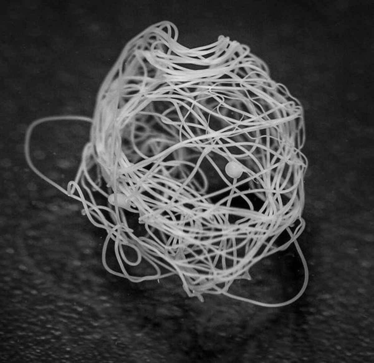 is--spider-silk-capable-of-healing-the-human-body