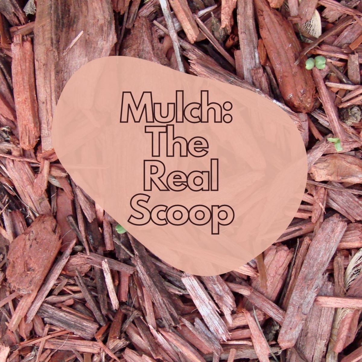 Mulch The Real Scoop Dengarden