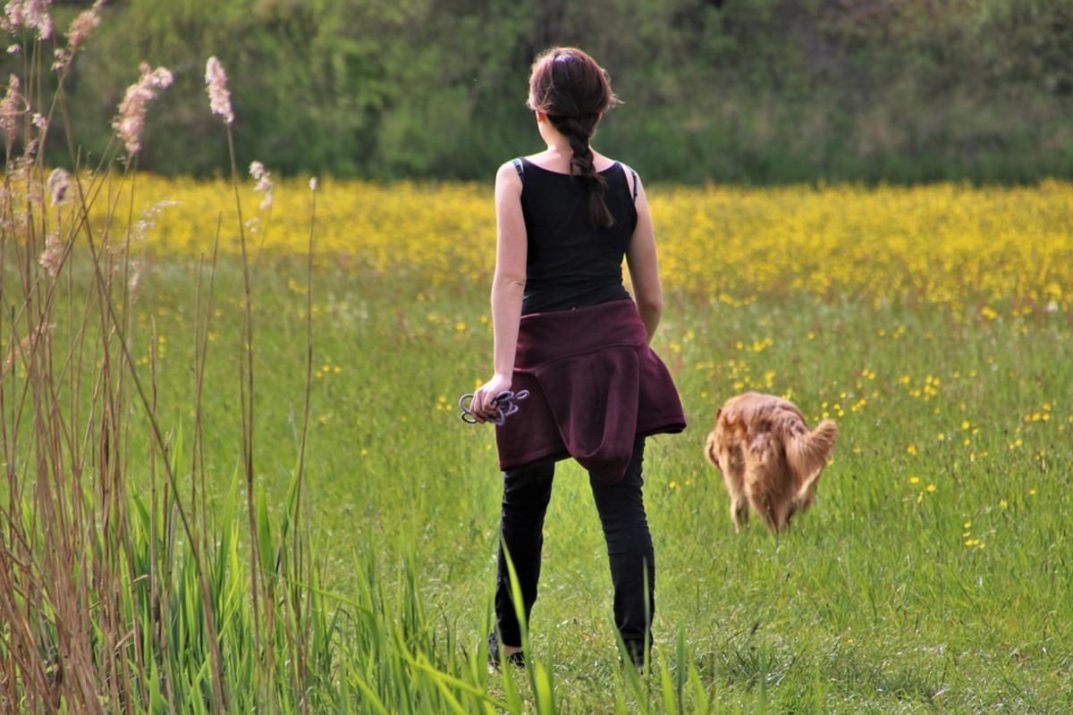 Can You Lose Weight by Walking Your Dog?