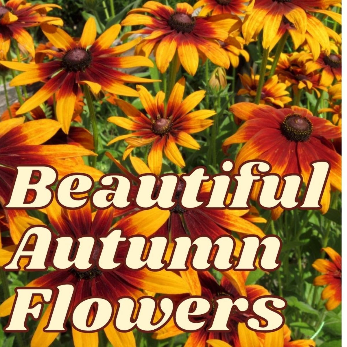If you really love flowers, you should make sure that they enhance the autumn color themes that take over at the end of each season.