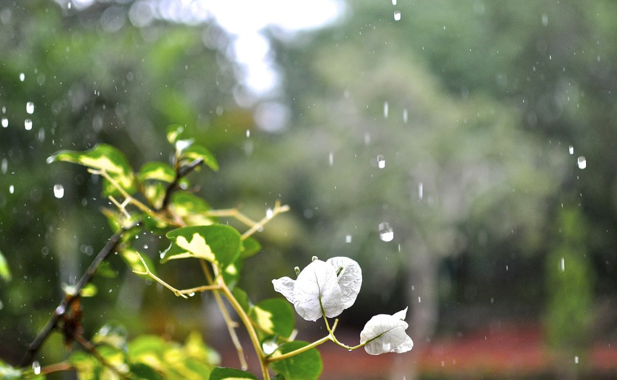 a-dramatic-poem-raindrops