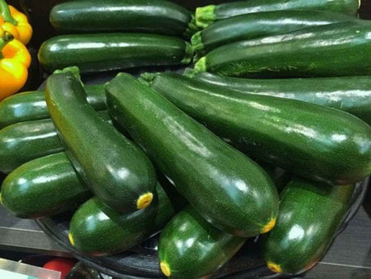 How to Grow Great Zucchini in 6 Easy Steps HubPages