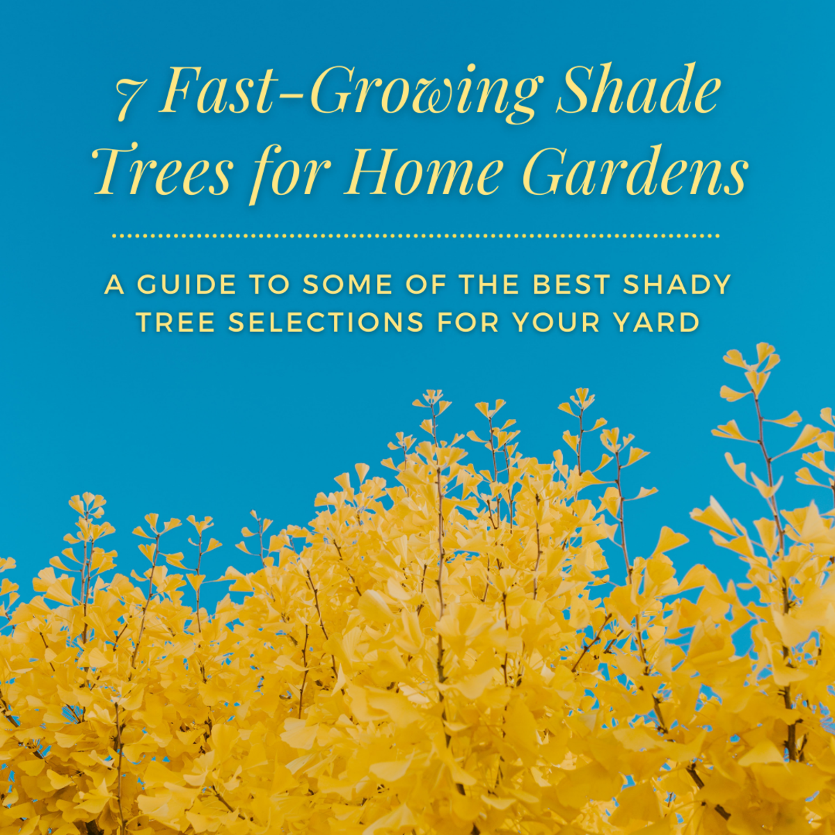 This article will share seven of the best fast-growing shade trees for home gardens.