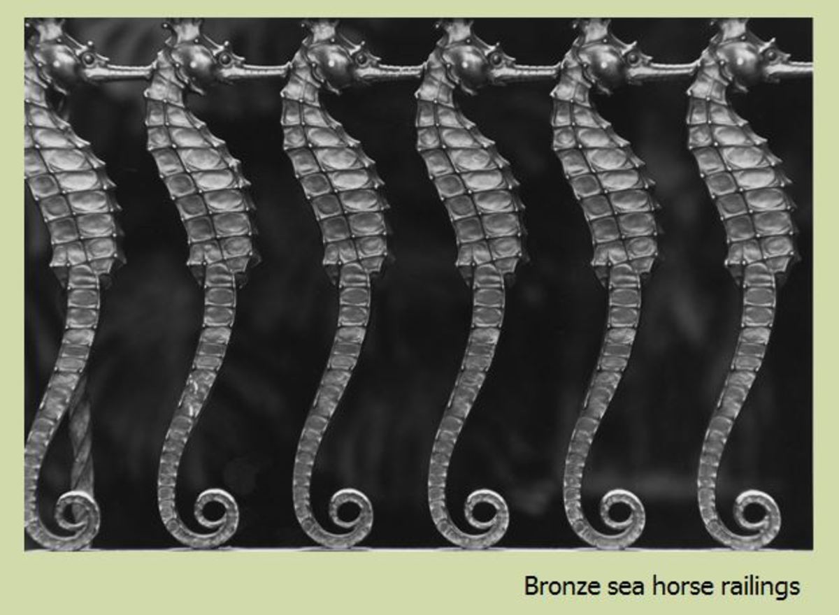 Bronze Seahorses at Steinhart Aquarium 